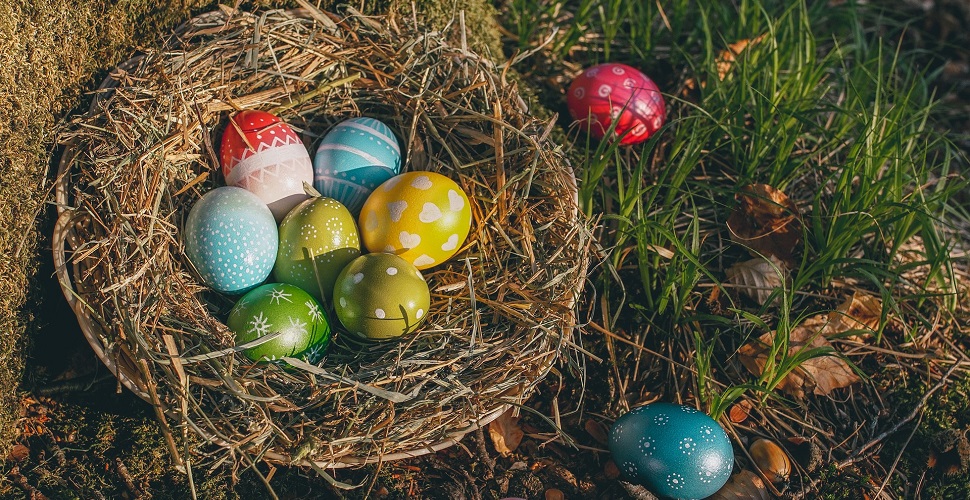 Eight egg-citing things to do with the kids in Plymouth this Easter