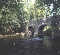 The Plym Trail, photo supplied by NTPL/Chris King