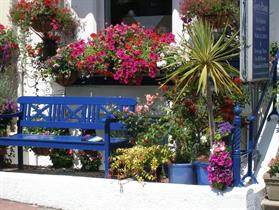 Seymour Guest House
