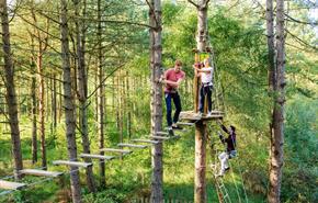 Go Ape - Haldon