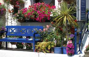 Seymour Guest House