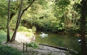 Plym Bridge Woods - National Trust