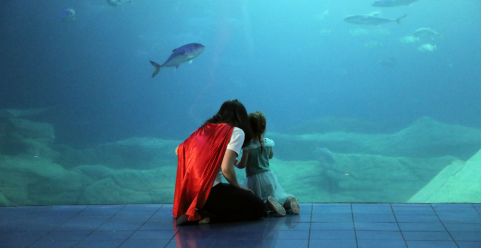 Splash into summer at the National Marine Aquarium