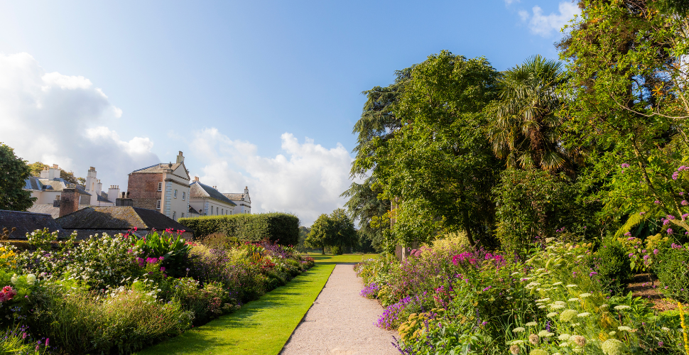 Saltram's exciting future - Visit Plymouth