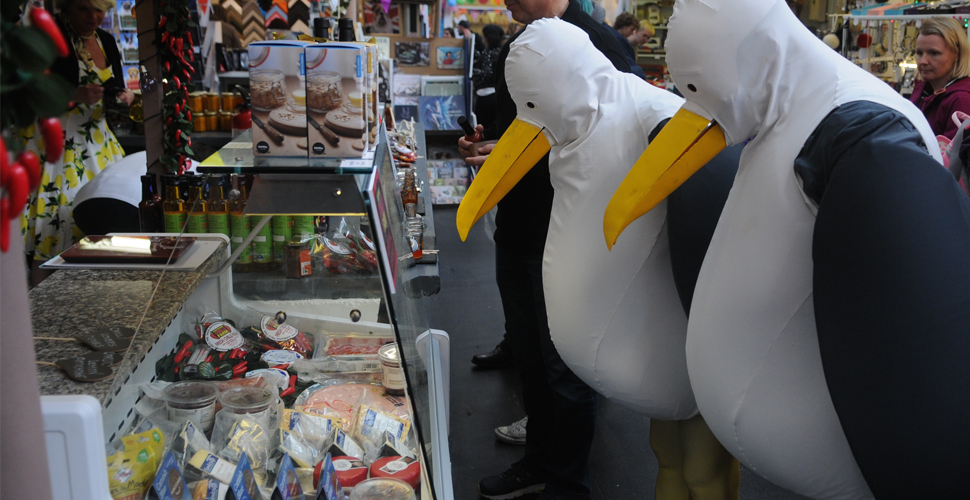 West End Carnival Seagulls