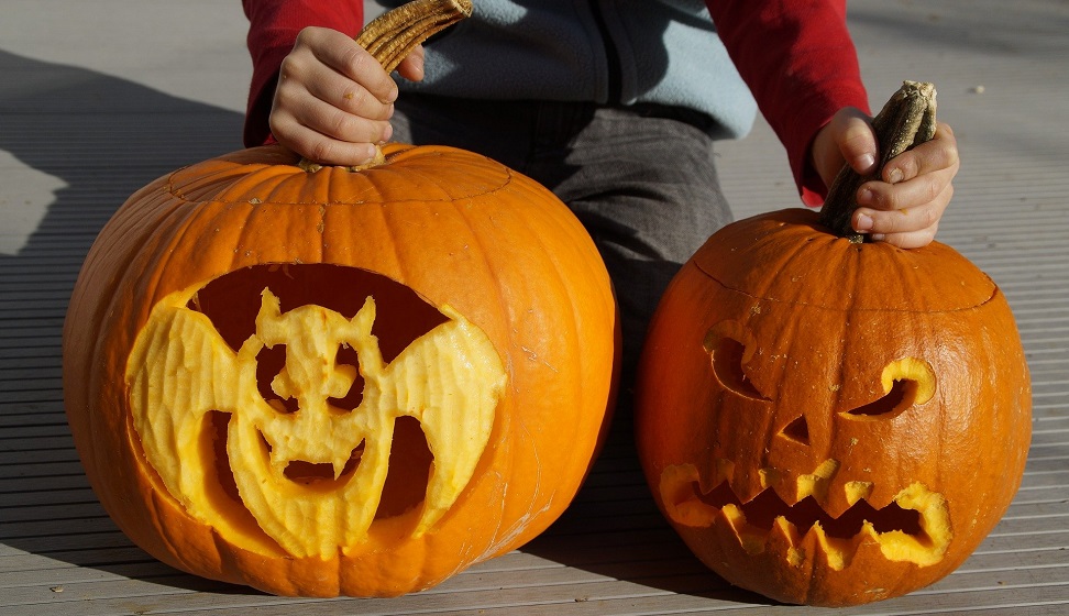 Childing holding two carved pumpkins