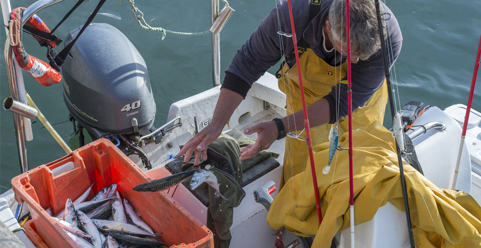 Plymouth leads the way in the fight to support the fishing industry