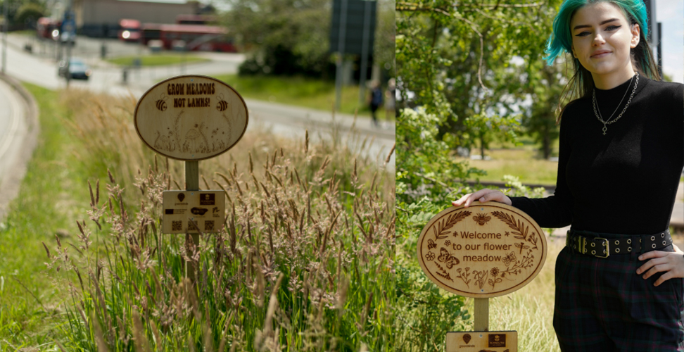 Left: Wildflower meadow sign designed by Eve Newman, first-year UAL Level 3 Extended Diploma Art & Design student at Plymouth College of Art and Right: Lauren Williams, a first-year UAL Level 3 Extended Diploma in Art & Design student at Plymouth College of Art