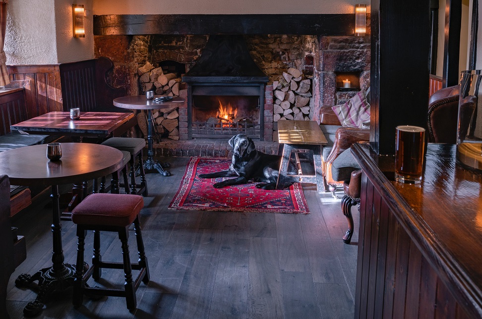 Dog sitting by a fire in a pub