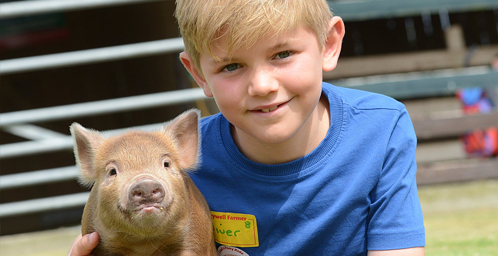 Child holding a pig