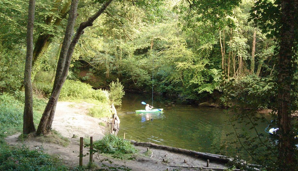 Man paddling in a kayak in a river at Plymbridge Woods