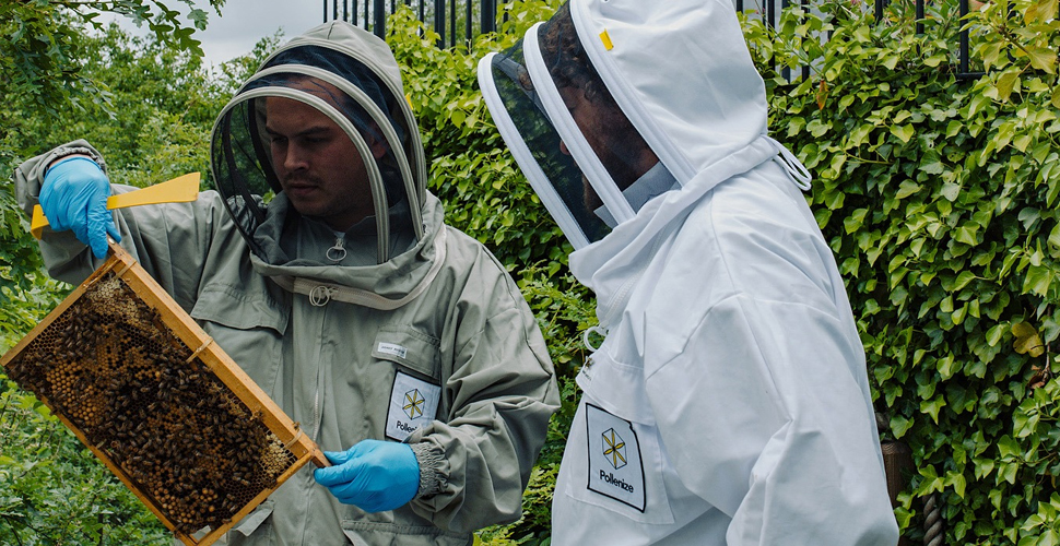 Two people holding part of a Beehive wearing Pollenize branded beekeeper suit
