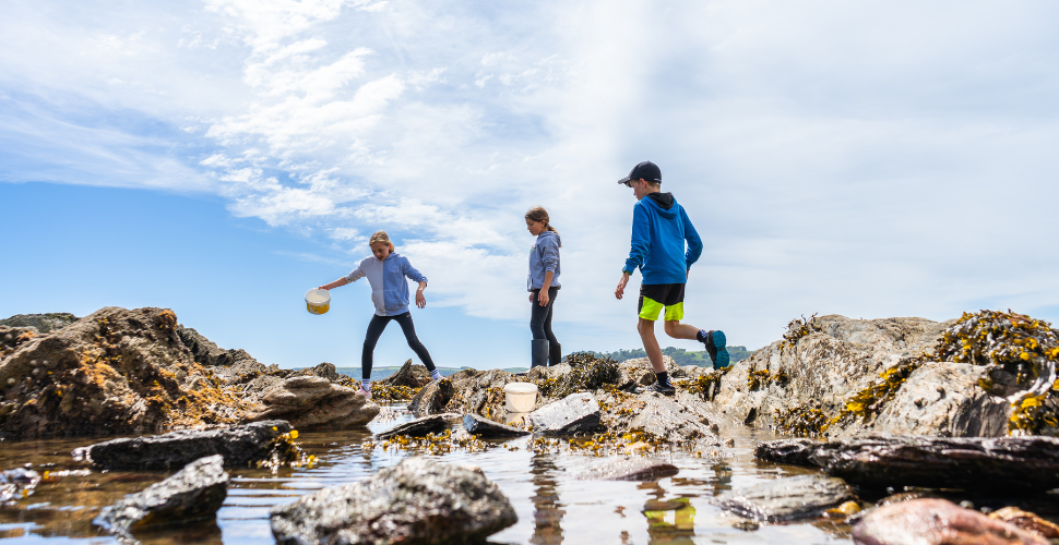 Children rockpooling