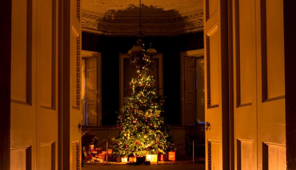 Christmas Tree at Saltram House