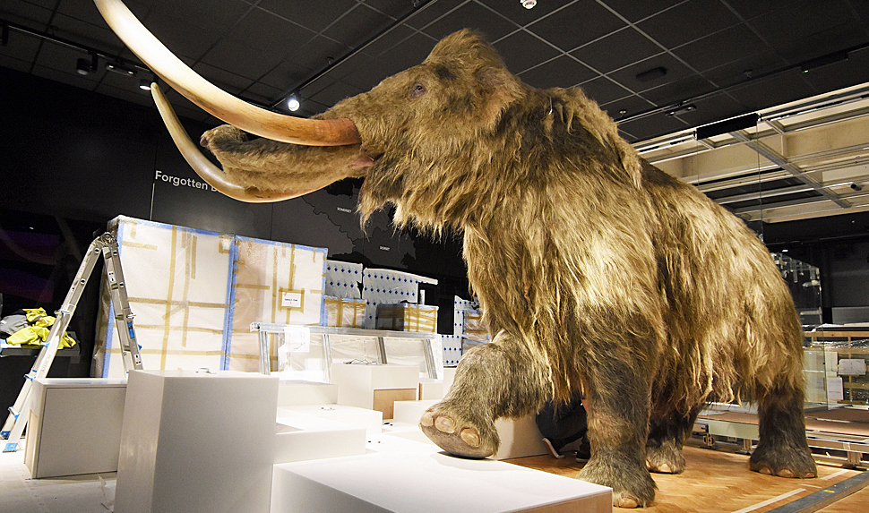 Woolly Mammoth at The Box