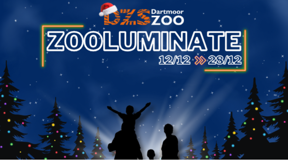 A festive promotional poster for Dartmoor Zoo's "Zooluminate" event, featuring a family silhouette looking at illuminated Christmas trees against a starry night sky. The event details "12/12 → 28/12" are displayed, and the zoo's logo has a Santa hat on the letter "D."
