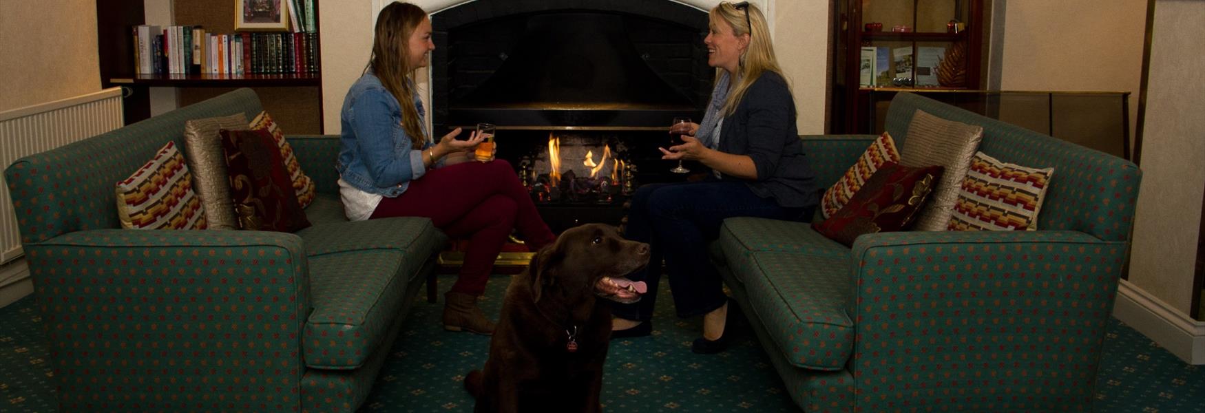 Dog Friendly Visit Plymouth