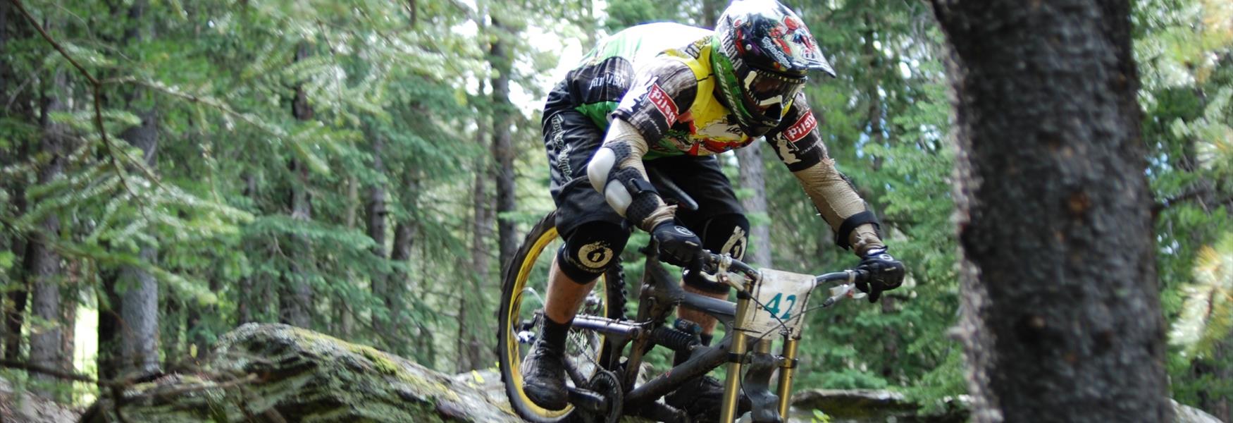 Bike Hire Visit Plymouth