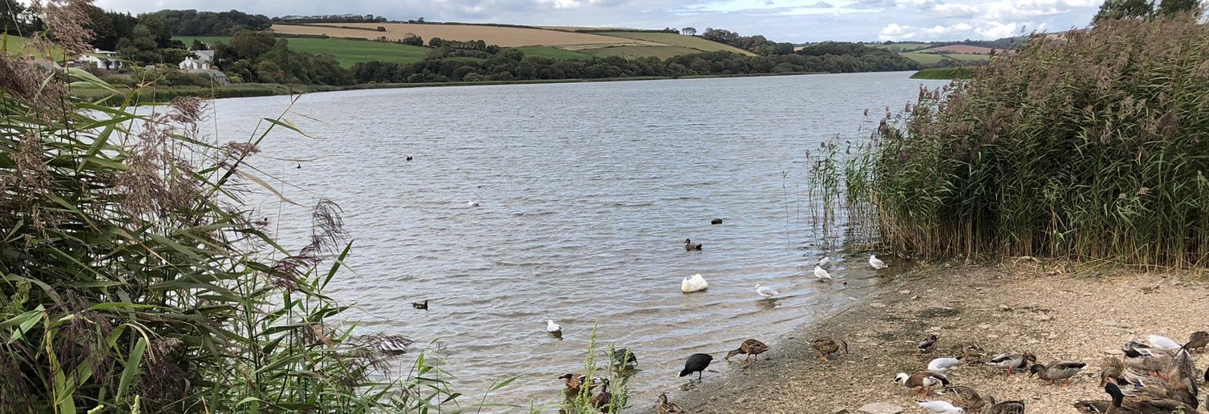 Slapton Ley Devon's D-Day Shoreline