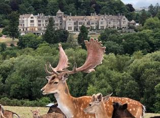 Team Building at Bovey Castle