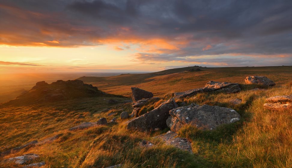 Dartmoor National Park Visit Plymouth