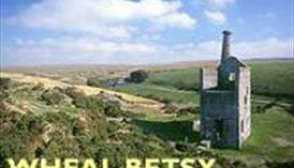 Mary Tavy Visit Plymouth