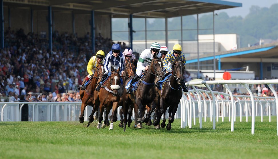 Racing at Newton Abbot Racecourse Visit