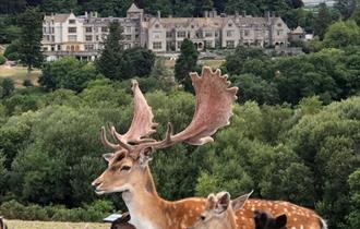 Team Building at Bovey Castle