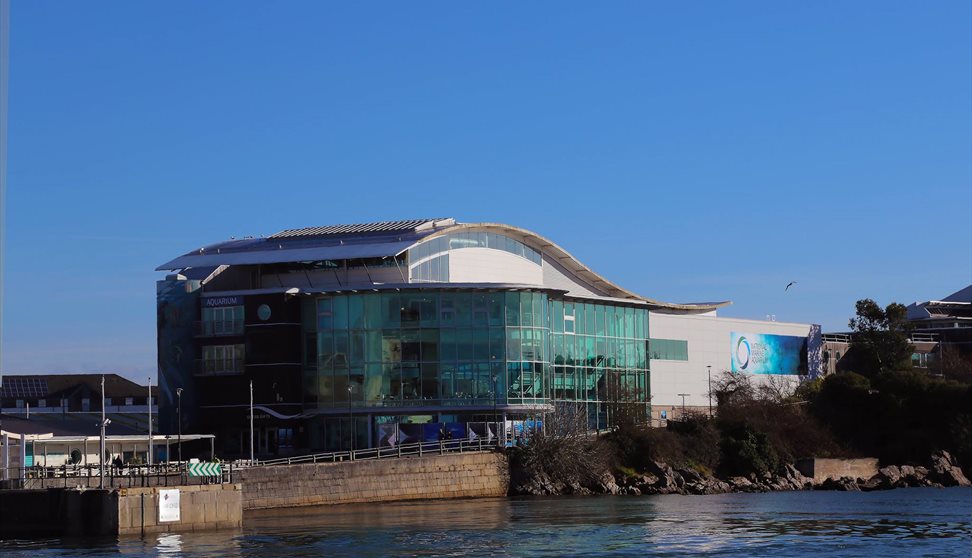 National Marine Aquarium - the UK's largest aquarium