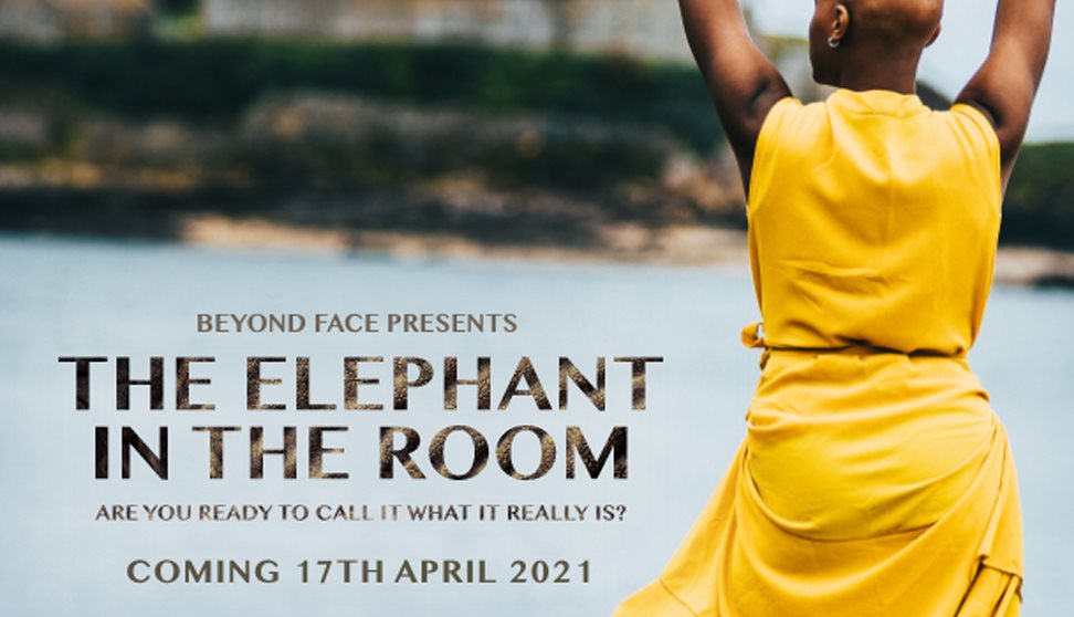 Elephant in the room poster